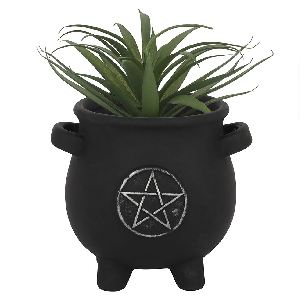 Pentagram Cauldron Plant Pot - Wicked Witcheries