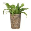 Triple Moon Bronze Terracotta Plant Pot by Lisa Parker - Wicked Witcheries